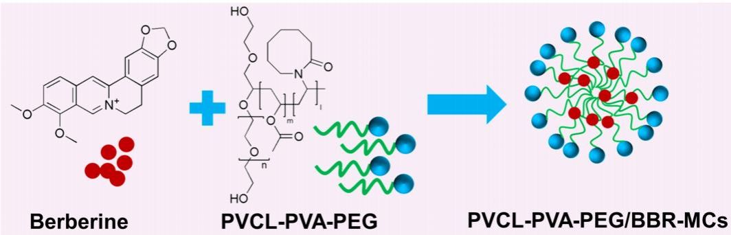 今年会药学院查孝柱老师在《International Journal of Nanomedicine》发表科研论文